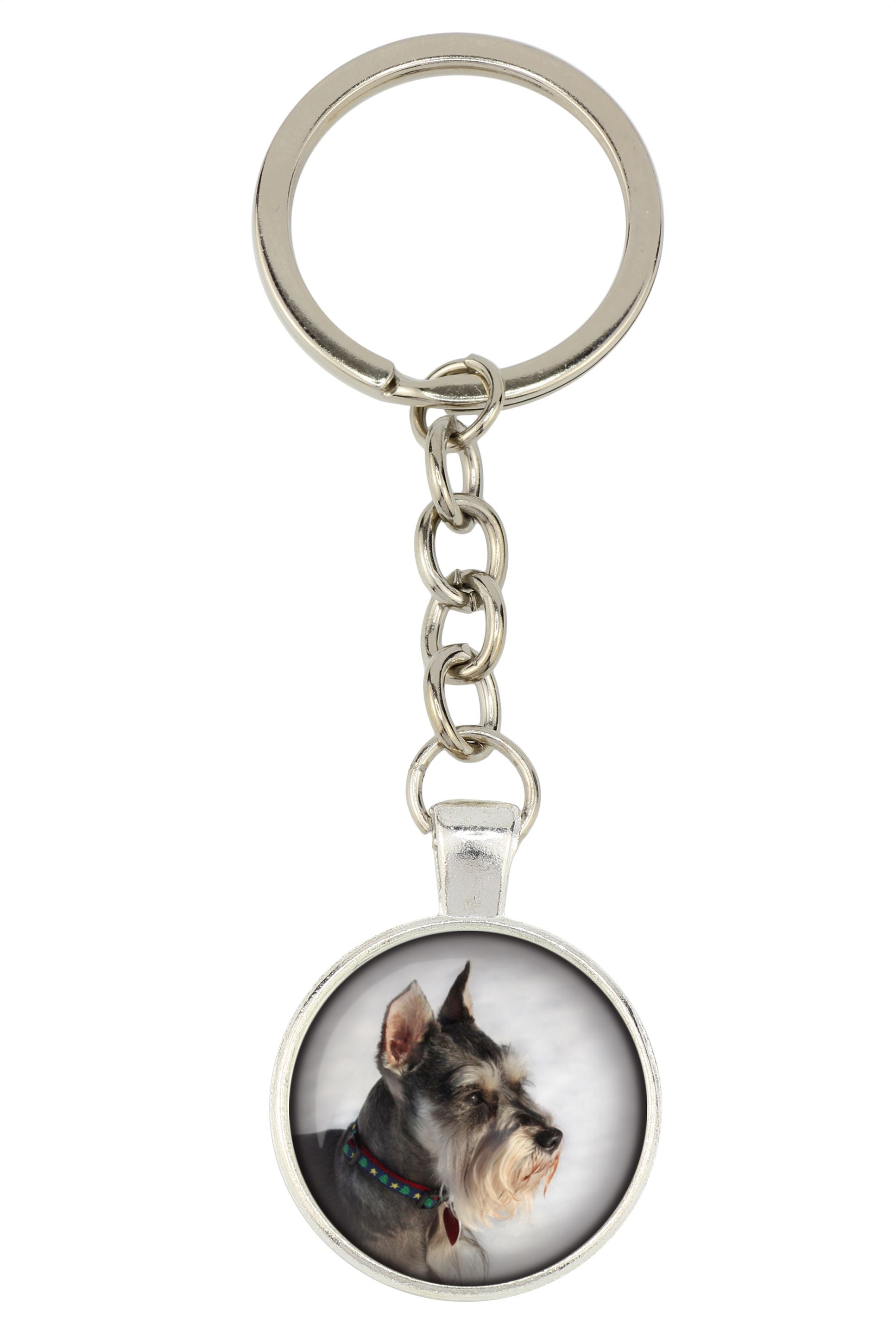 Sznaucer brelok w pudełku ze zdjęciem Art-Dog