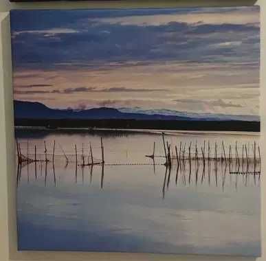 Colecção de 12 Quadros