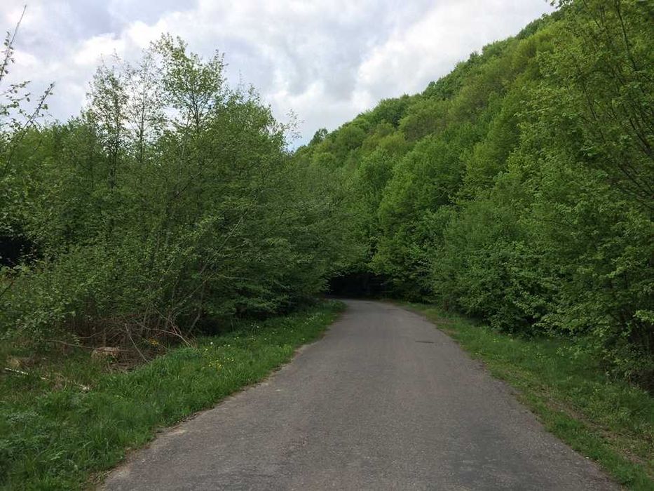 с.Новоселиця. Зем. ділянка комерційного призначення. Від Власника!!!