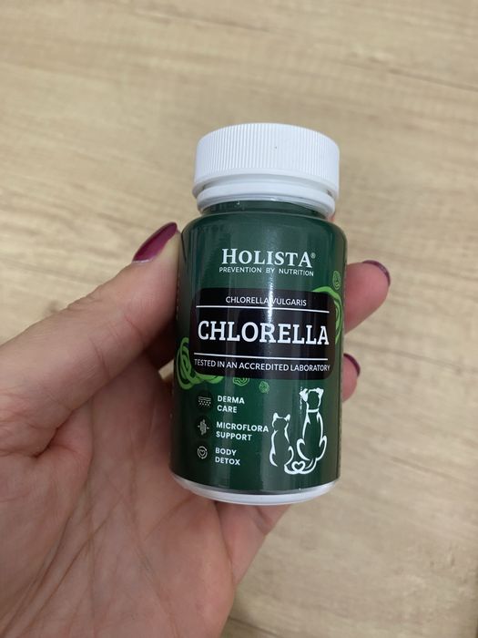 Chlorella Holista dla psów i kotów