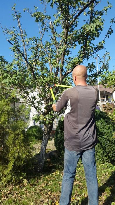 Обрезка сада, обрезка фруктовых деревьев для улучшения плодоношения.