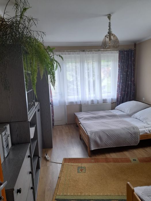 Pieniny noclegi Apartament 5cio osobowy z kuchnią