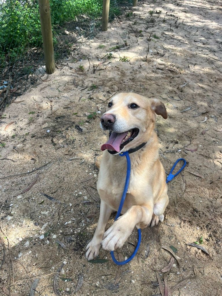 Sorriso de felicidade para encontrar familia 5 estrelas