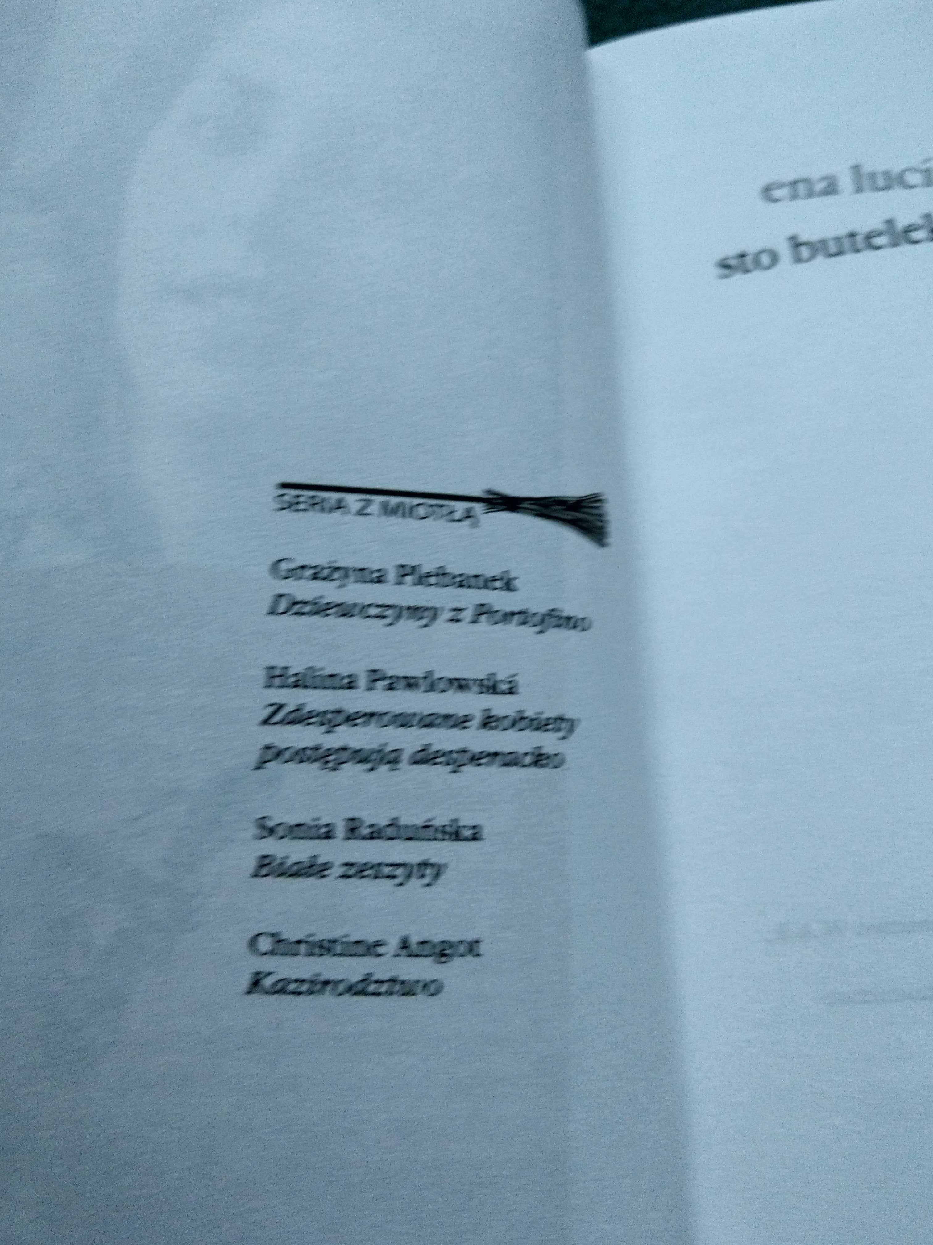 "Sto butelek na ścianie" Ena Lucia Portela