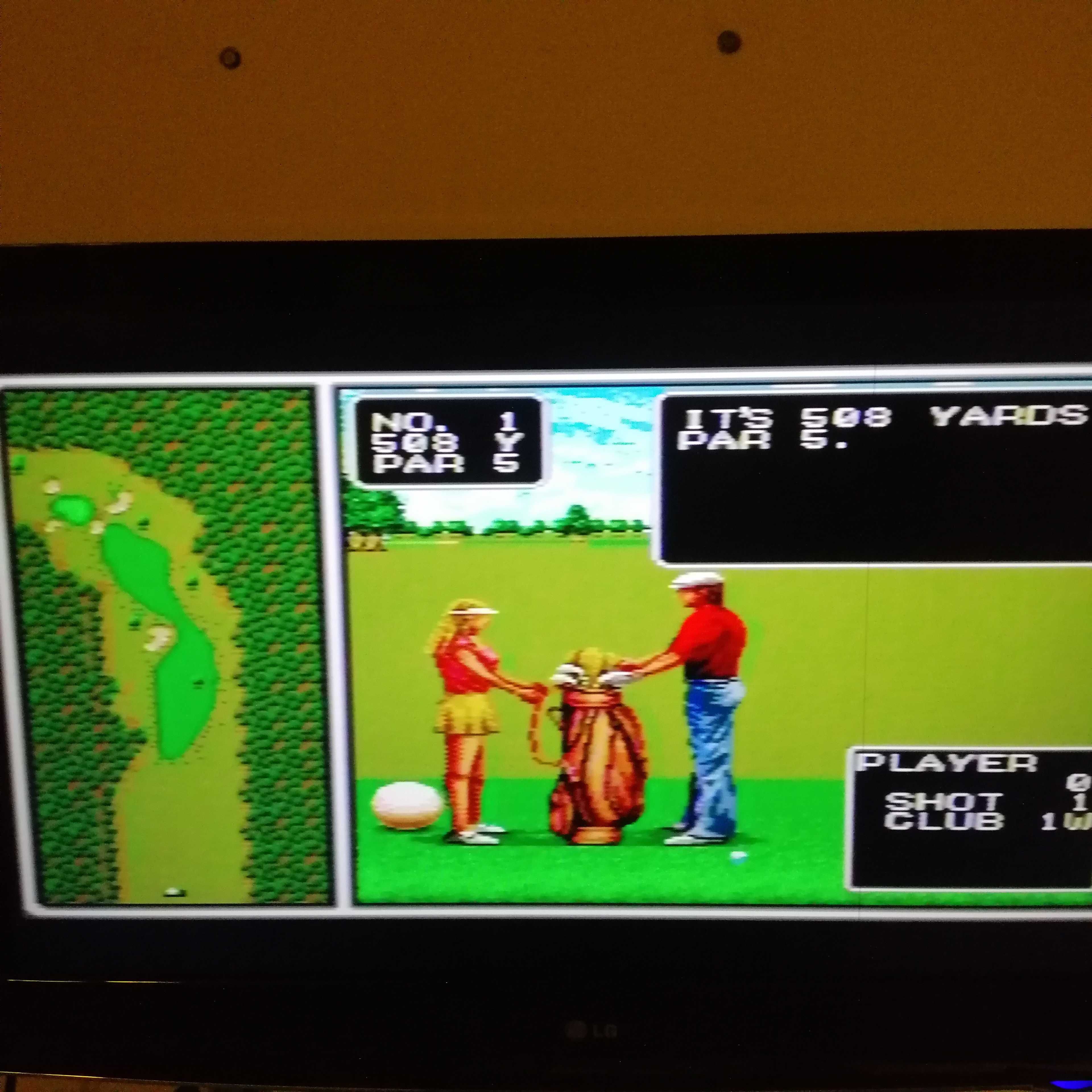 Oryginalna! Gra na konsolę SEGA Mega Drive - Tournament Golf