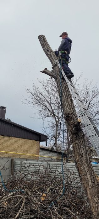 Прибирання ділянок, СпИл дерева,передроблення гілок