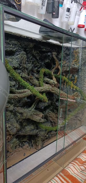 Ścianki do terrarium