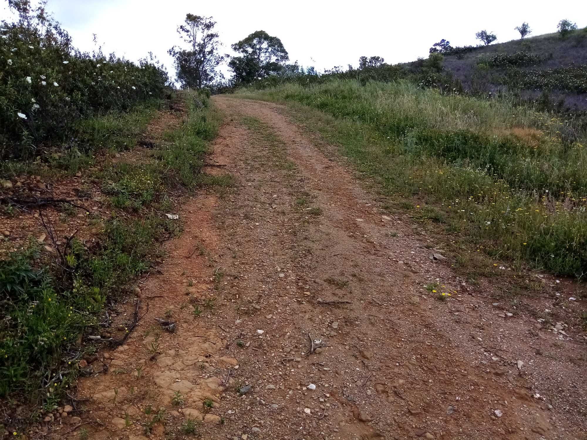 Vende-se terreno com barragem junto à estrada em Corte Serrano, 5456m2