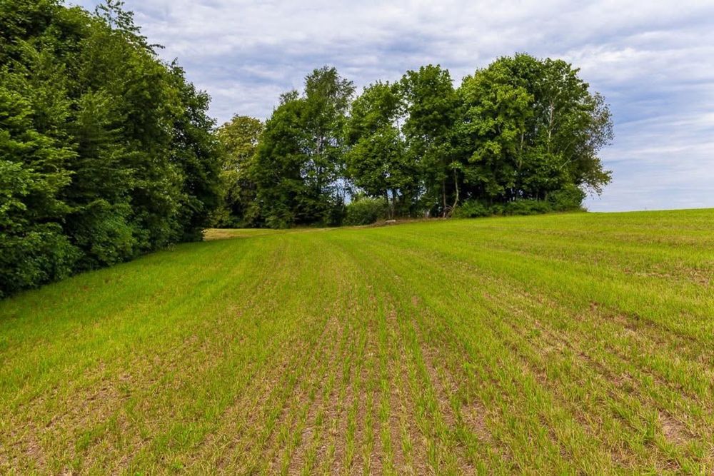 Działka budowlana 1200 m² – Połęczyno, Kaszuby.