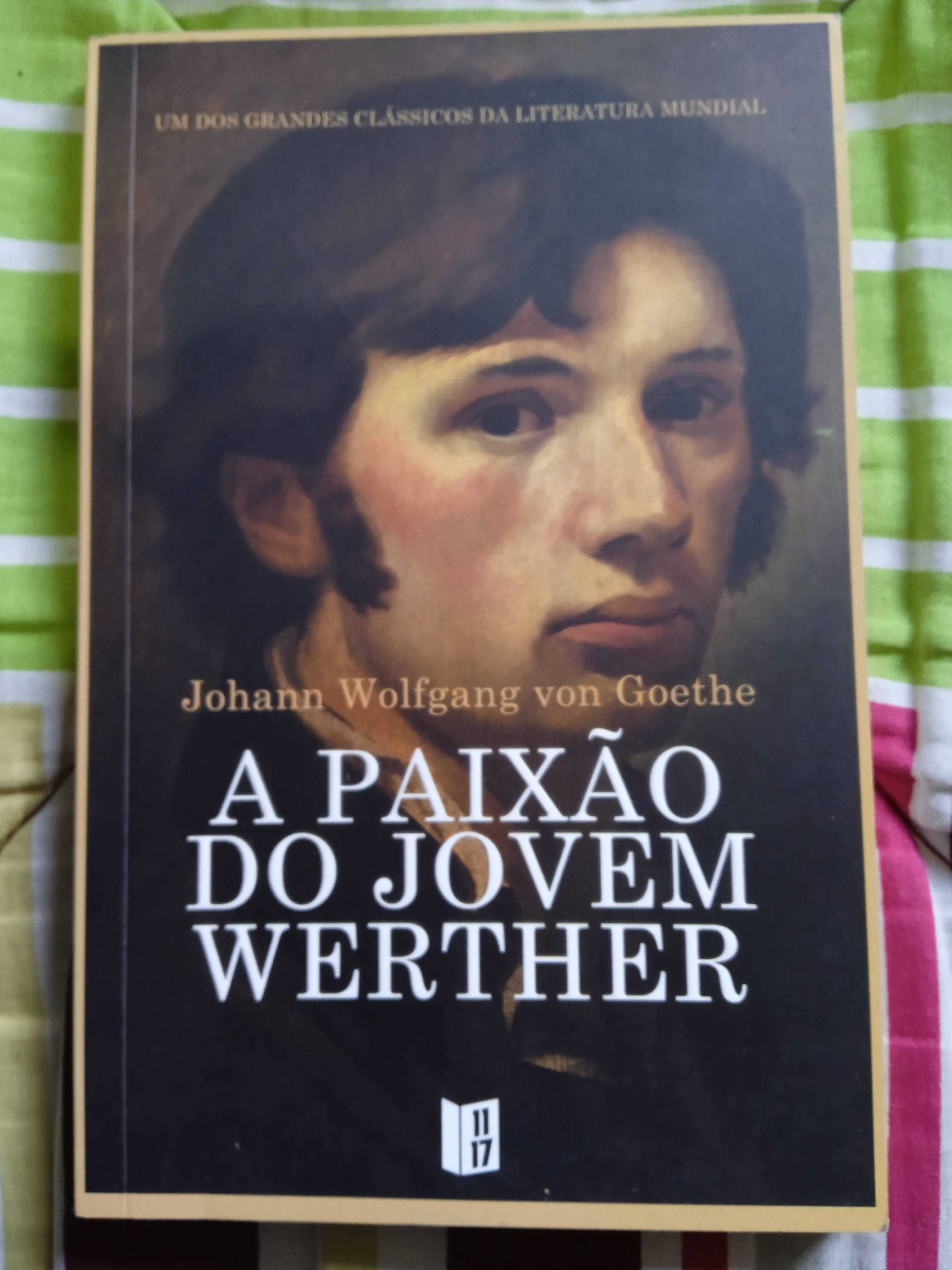 A Paixão do Jovem Werther - Von Goethe