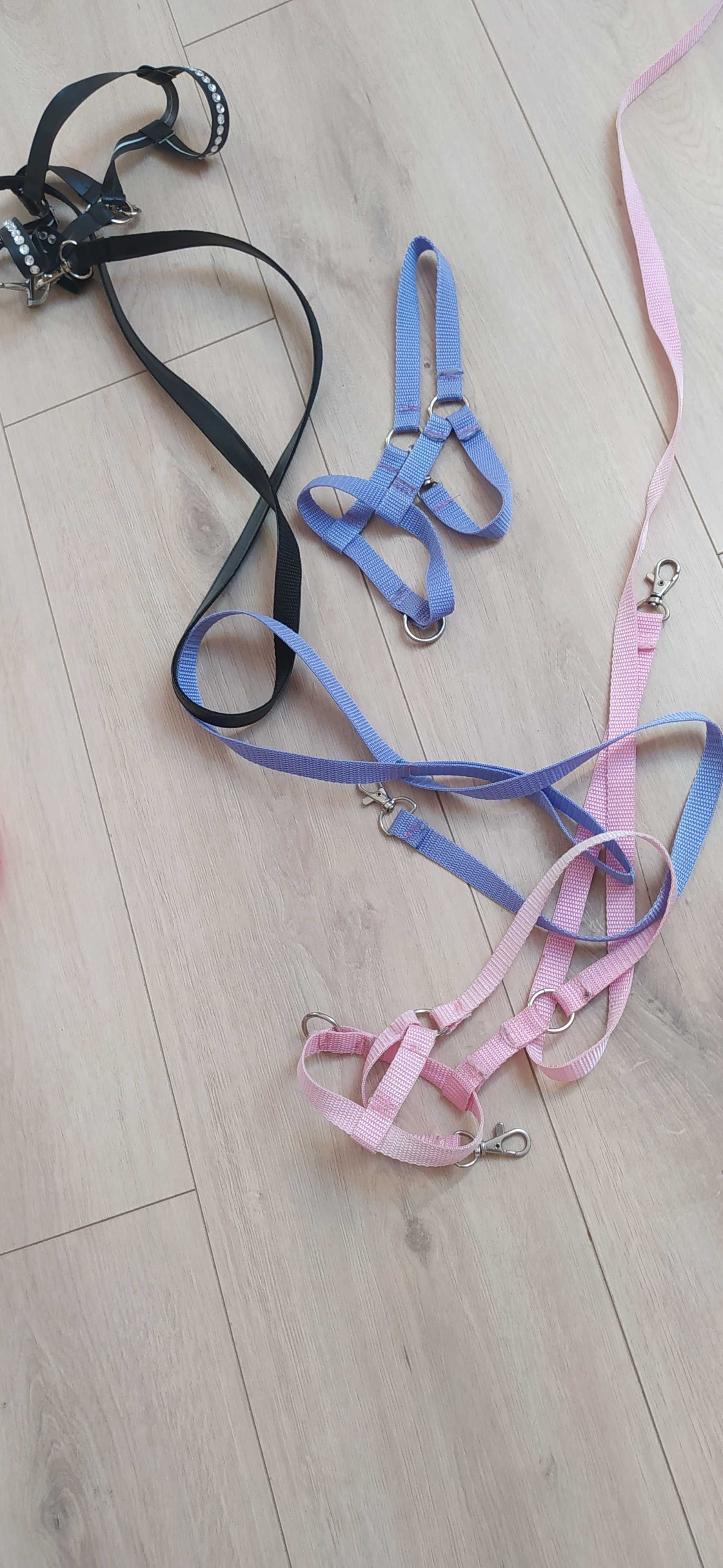 Hobby horse A 3,  70cm