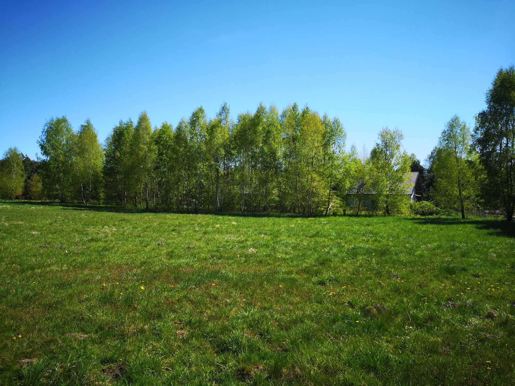 Działka rolno budowlana Jasionka k. Sokolniki Las 1175 m2