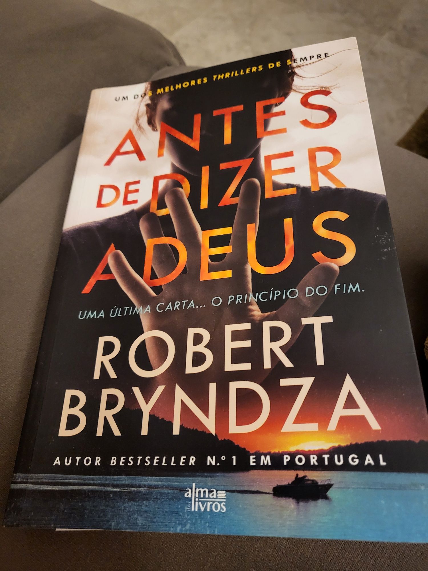 Livro - Antes de Dizer Adeus