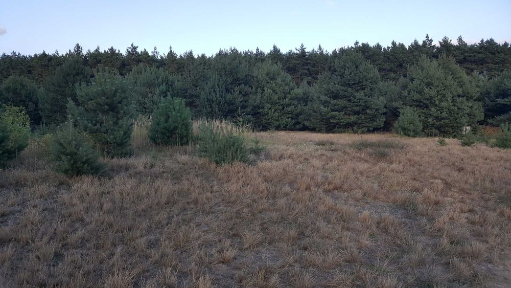 Działka nad jeziorem Las Budowlana Okolice Poznania Pilnie sprzedam
