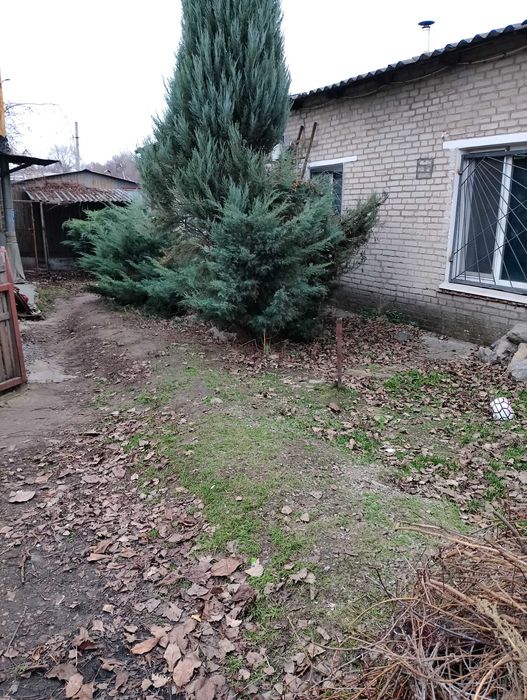 Сдам в аренду помещениепод жилье офис произвоство