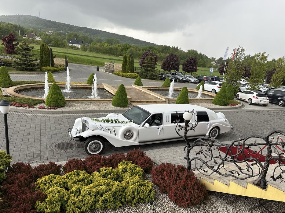 Auto do Ślubu, Limuzyna na wesele, wynajem studniówki. Inne imprezy