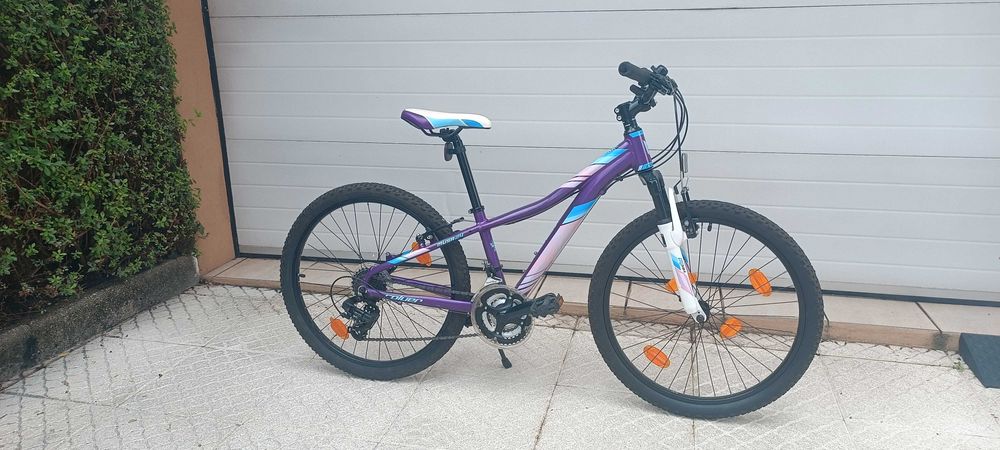 Linda bicicleta, roda 24