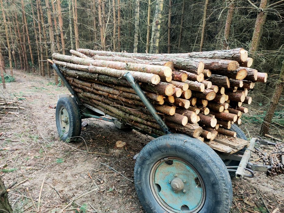 Stemple budowlane sosna