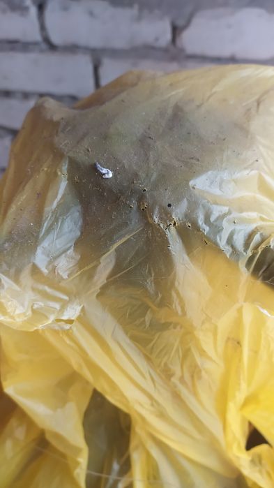 Пресс для винограда