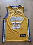 Koszulka Nike - LA Lakers. LeBron James róż. M 8-10 lat
