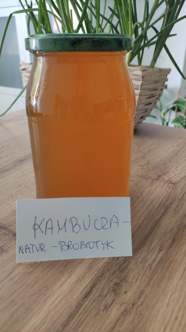 Kambucza naturalny probiotyk