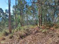 Terreno  para venda