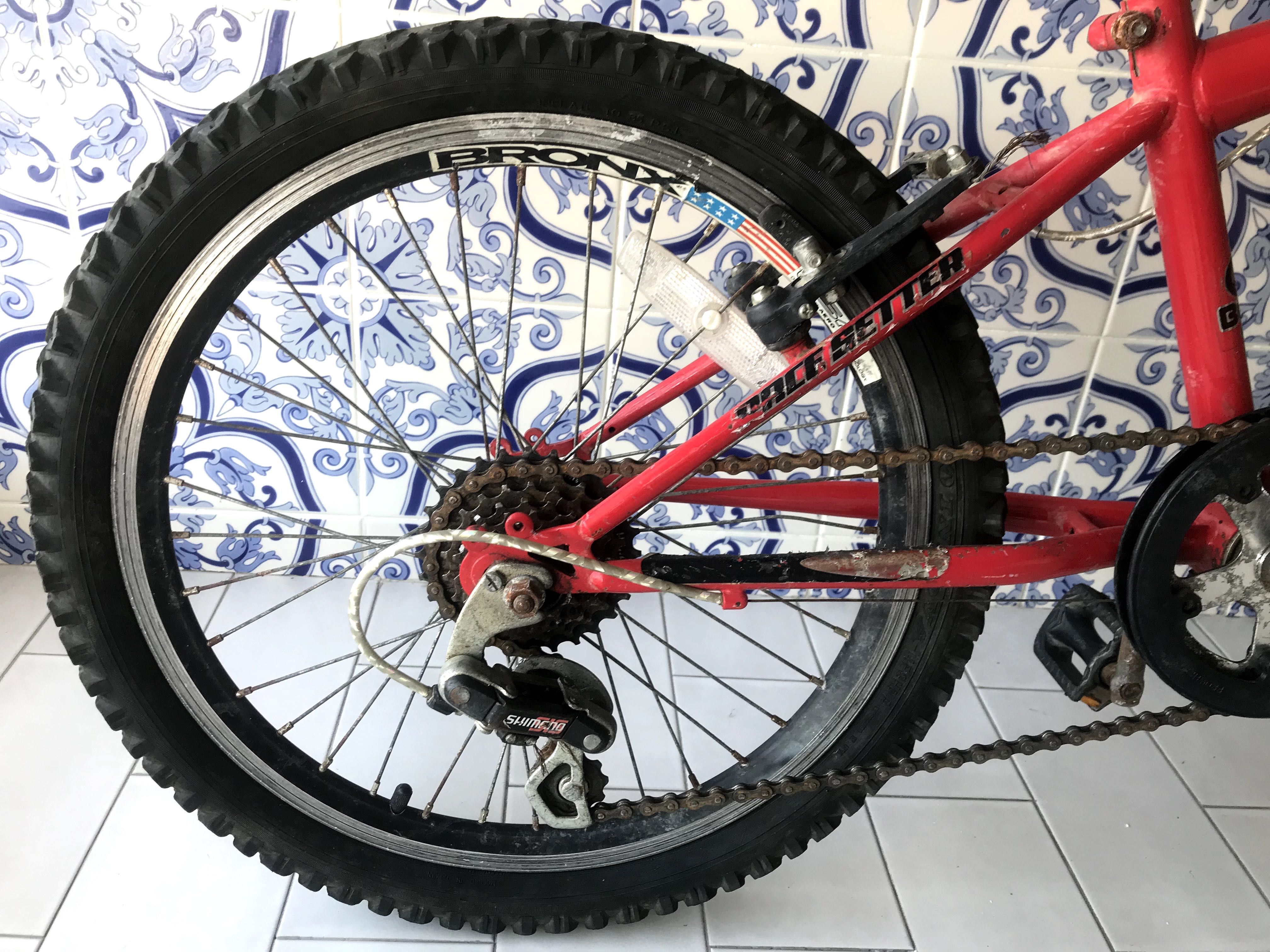 Bicicleta BERG *USADO*