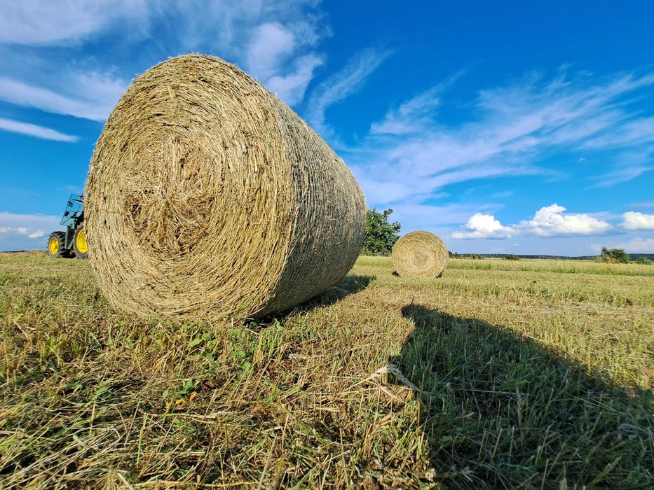 Baloty siana 120x120 dla koni / hay in bales for horses / siano bele