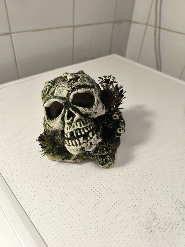 Decoração aquários
