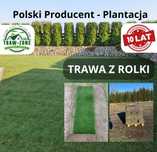 Trawa z rolki - producent