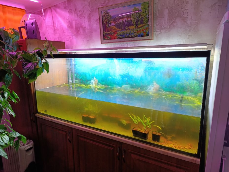 Акваріум 450 літрів повний комплект.