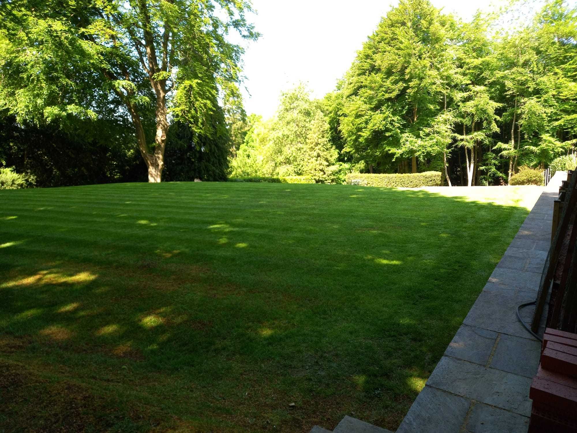 Serviços de jardinagem - Manutenção de jardins e Hortas