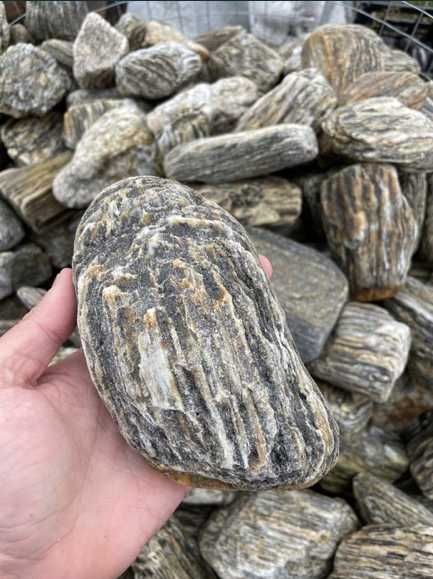 ŁUPEK DRZEWIASTY Naturalny Kamień Skała do Akwarium Iwagumi Grys