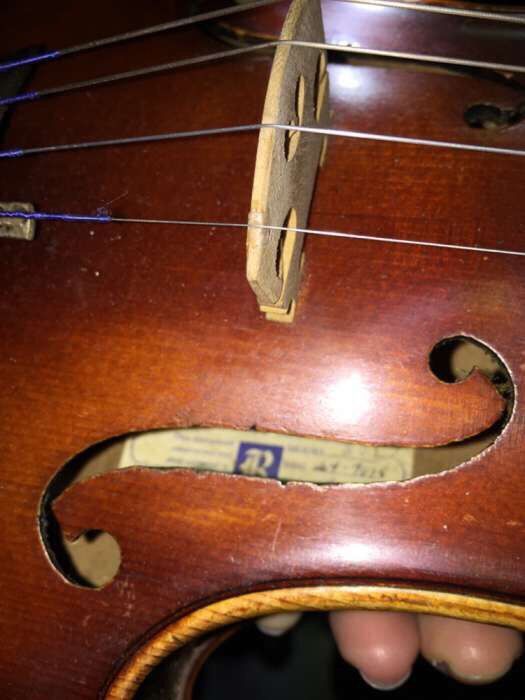 Violino para profissional alemão de 1964 aulas