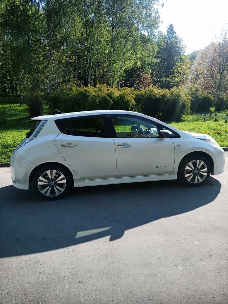 Nissan Leaf 2013