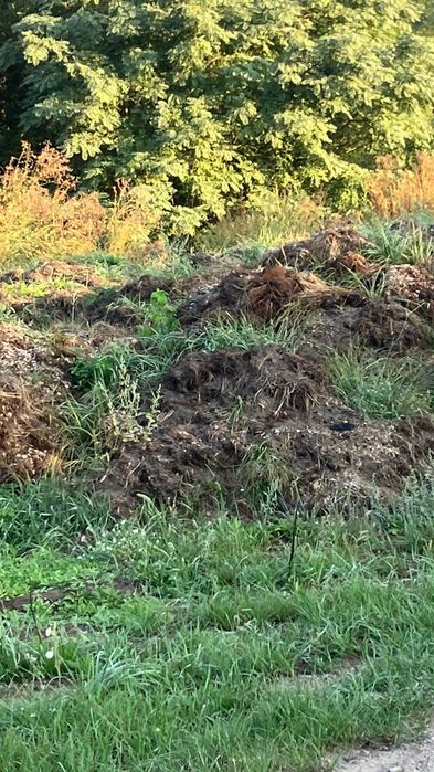 Ziemia! Oddam za niewielką opłatą