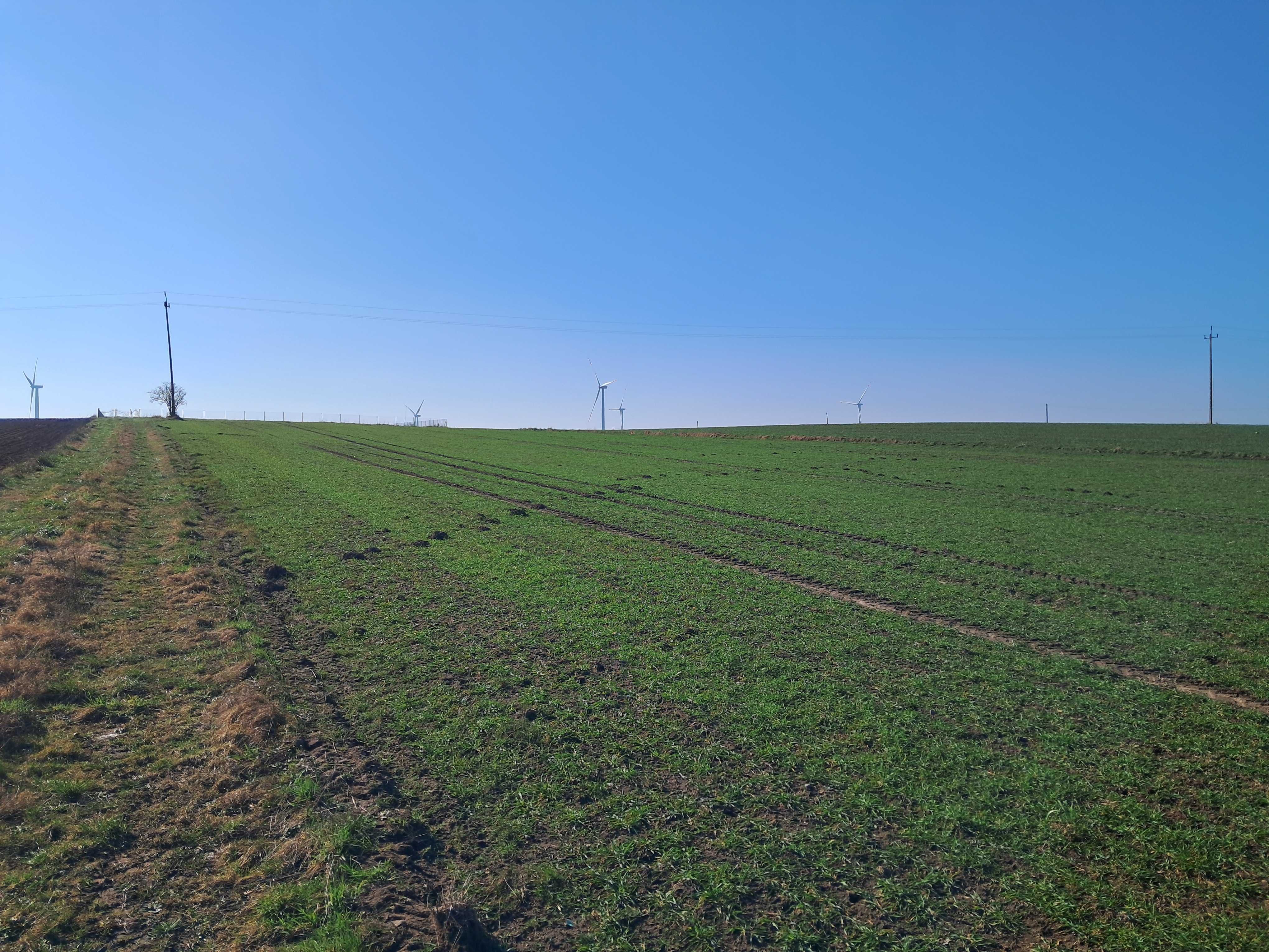 działka budowlana Nieżyn z warunkami zabudowy k. Kołobrzegu