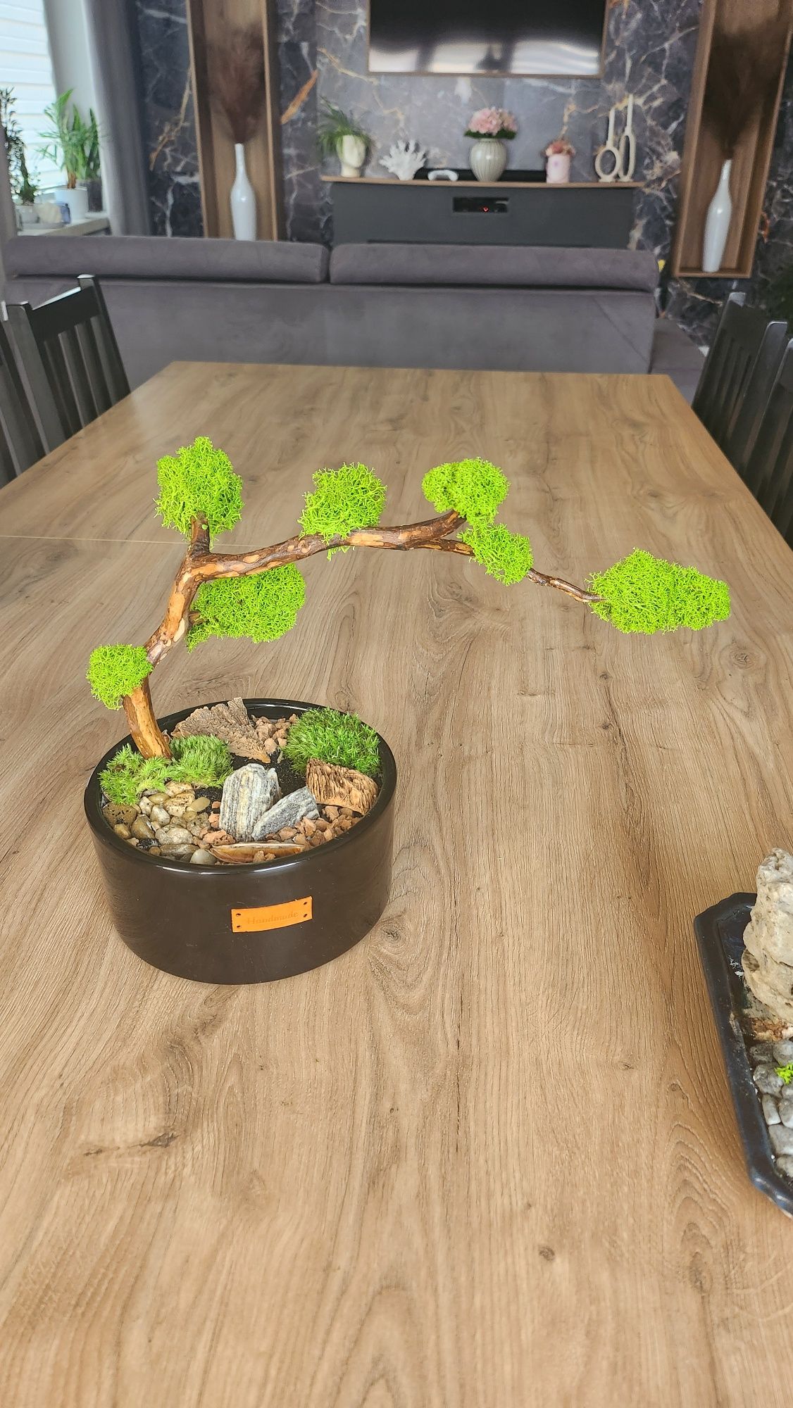 Drzewko bonsai z mchu