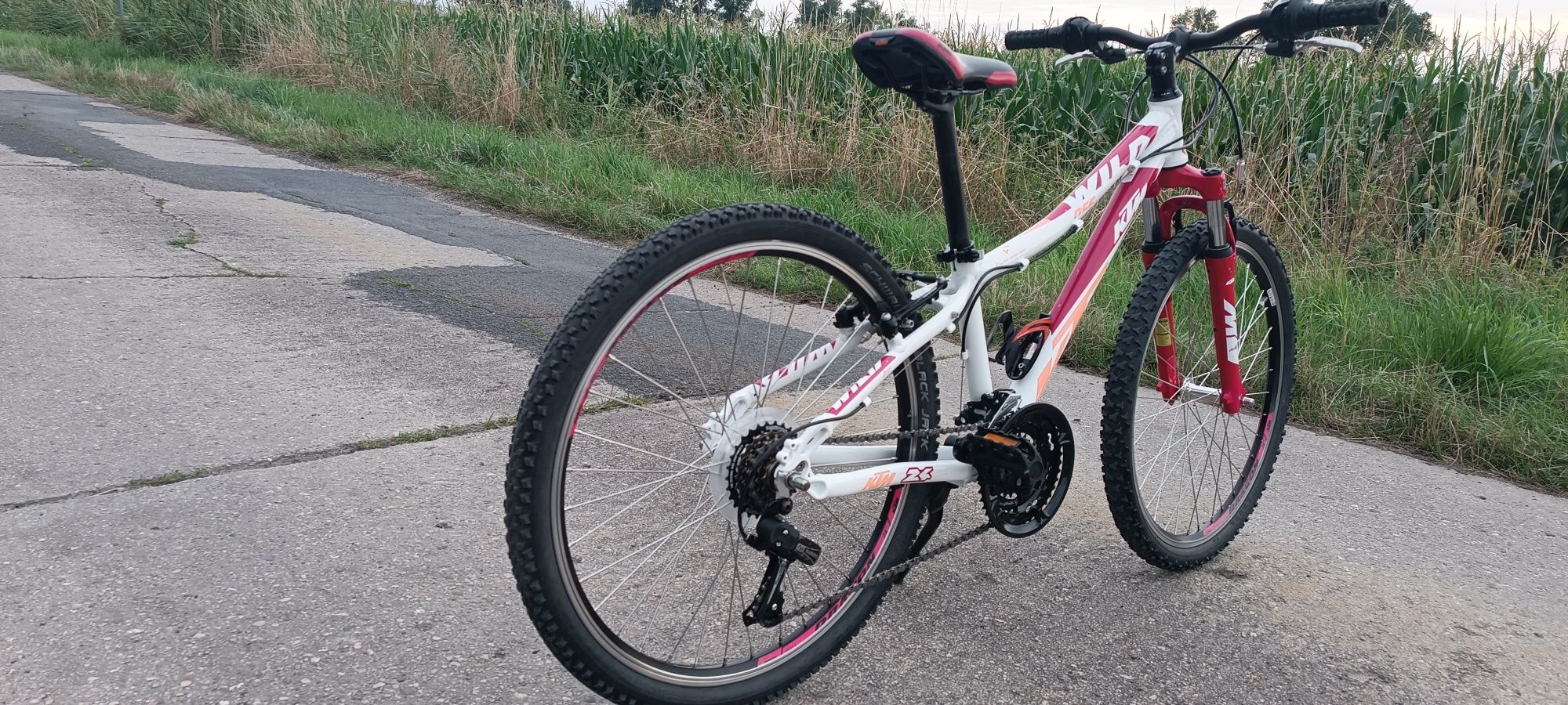 KTM rower górski młodzieżowy  koła 24