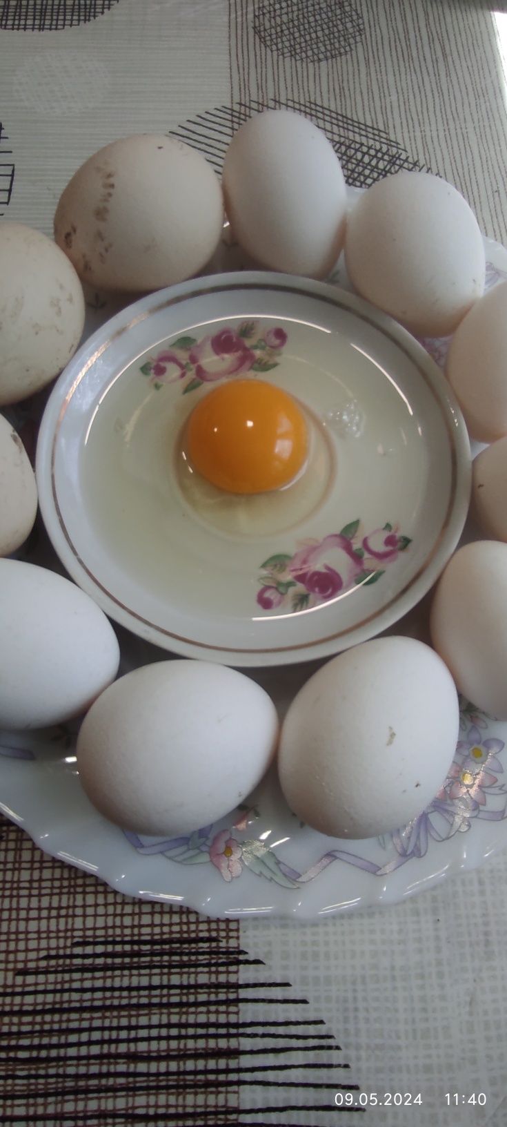 домашние яйца, домашние яйца