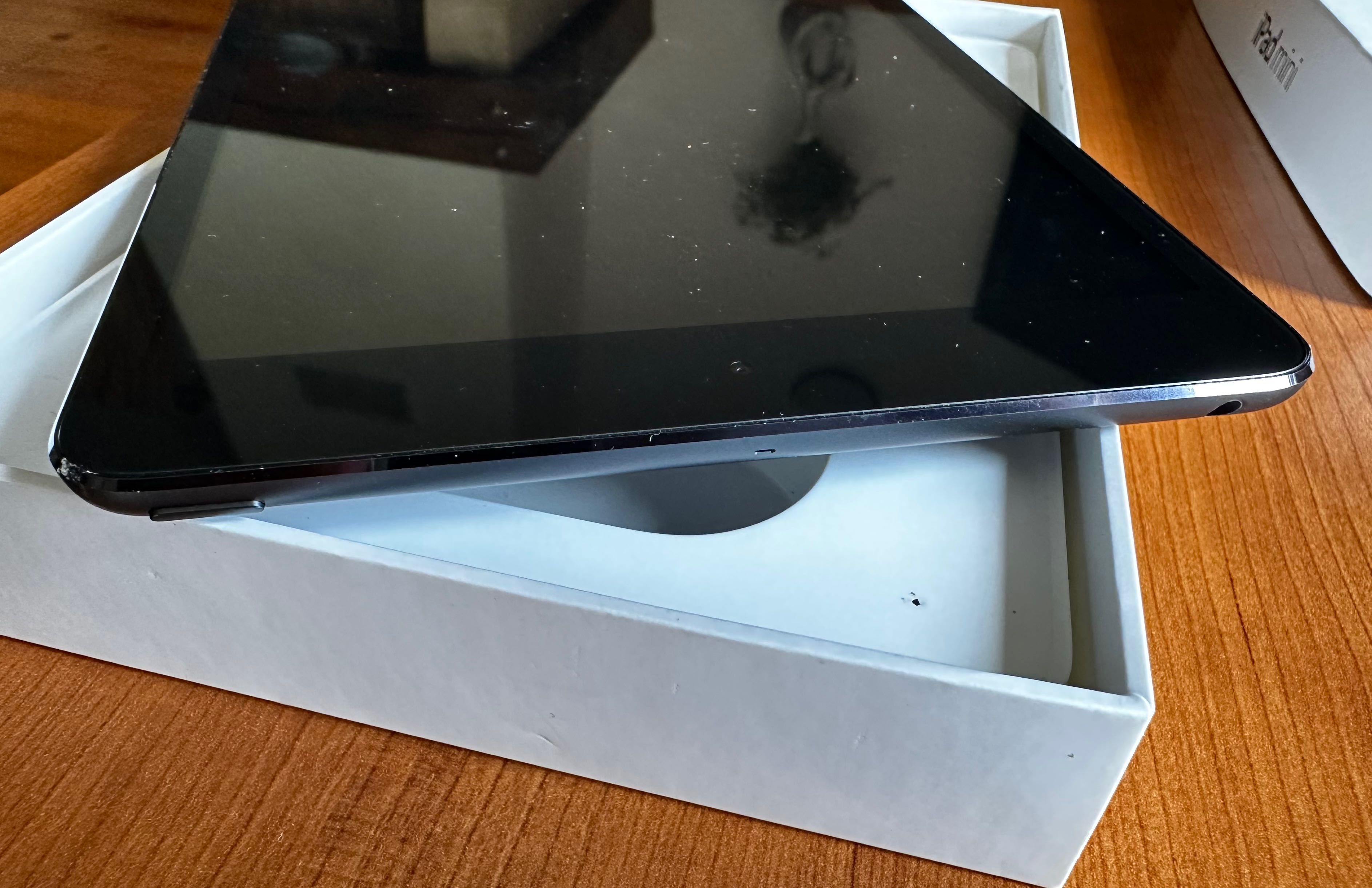 iPad mini / Tablet