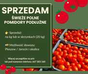 Polne pomidory - podłużne