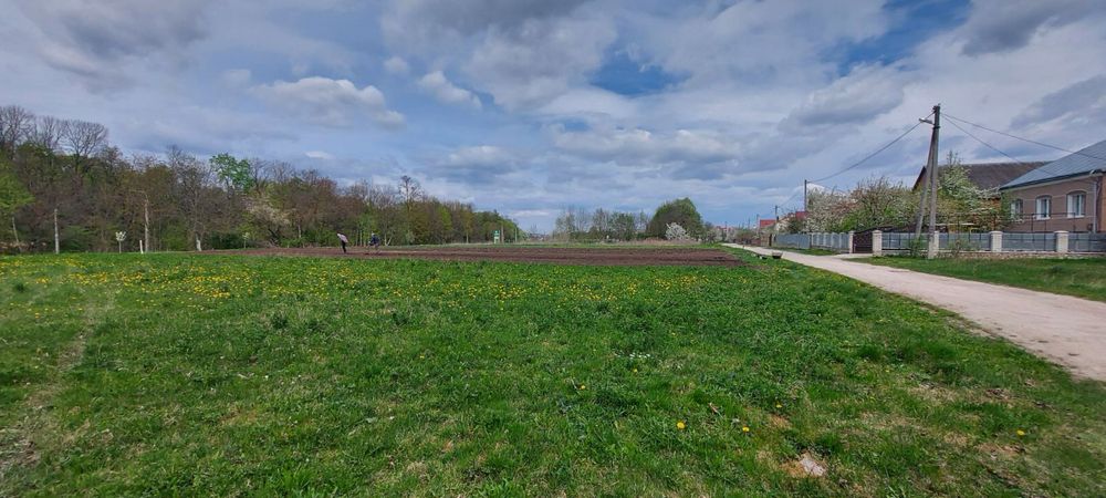 Продаж земельної ділянки в с. Велика Березовиця