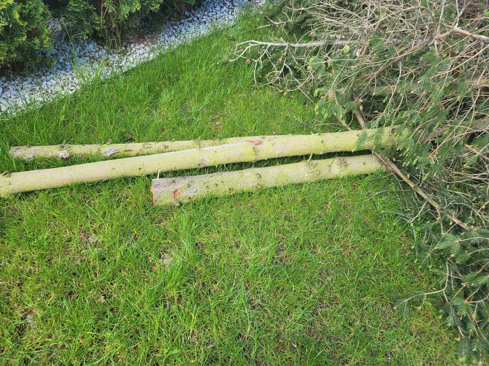 drewno na opał oraz gałęzie