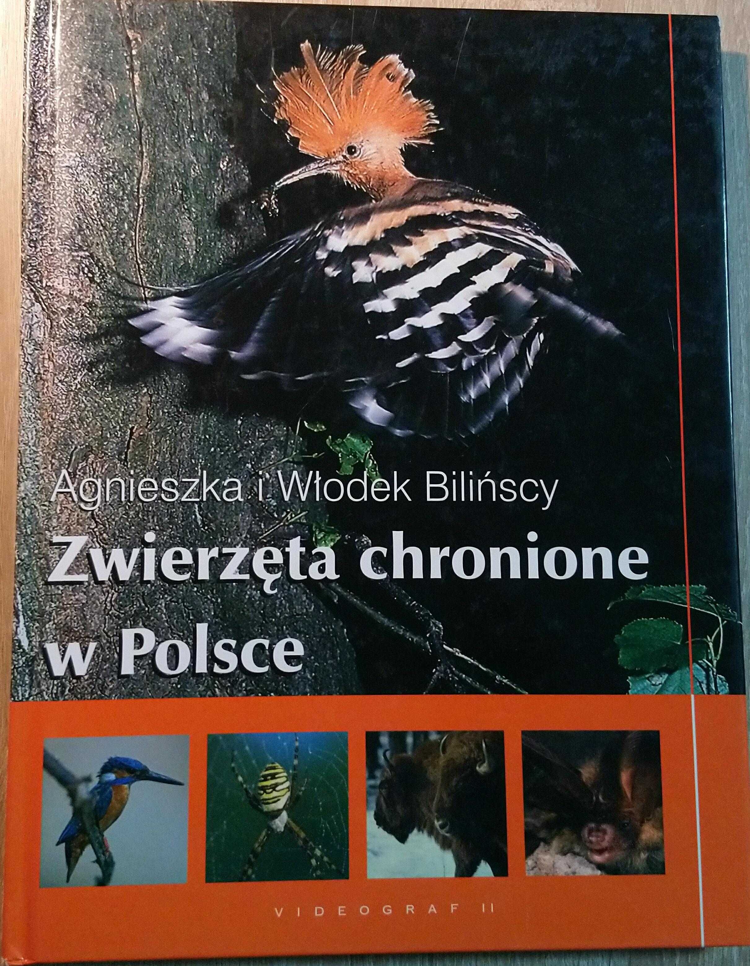 Dwie Encyklopedie-W. Encyklopedia Zwierząt i Zwierzęta Chronione w Pl