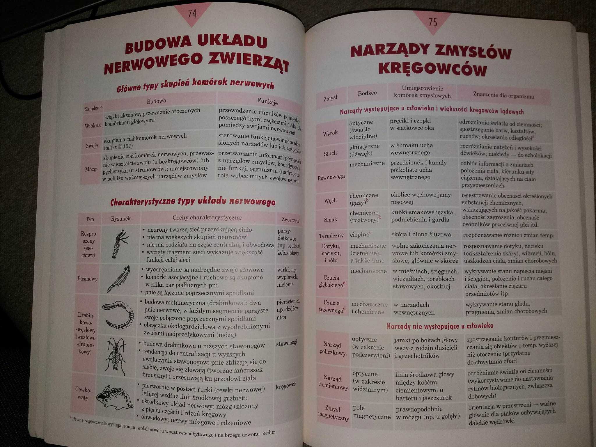 Tablice szkolne biologia adamantan