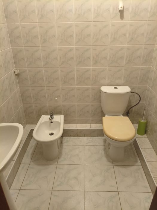 Сдам шикарный дом на левом берегу