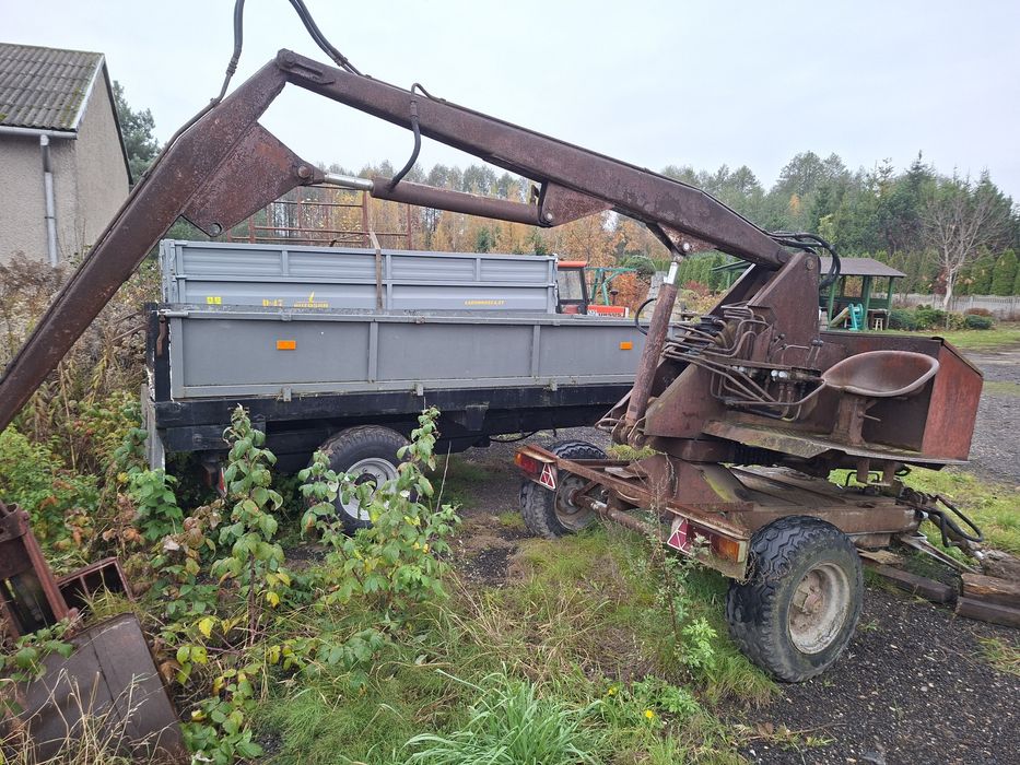 Cyklop polski w dobrym stanie