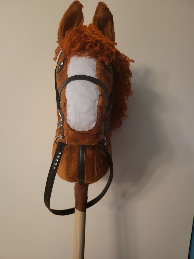 Hobby horse rudy