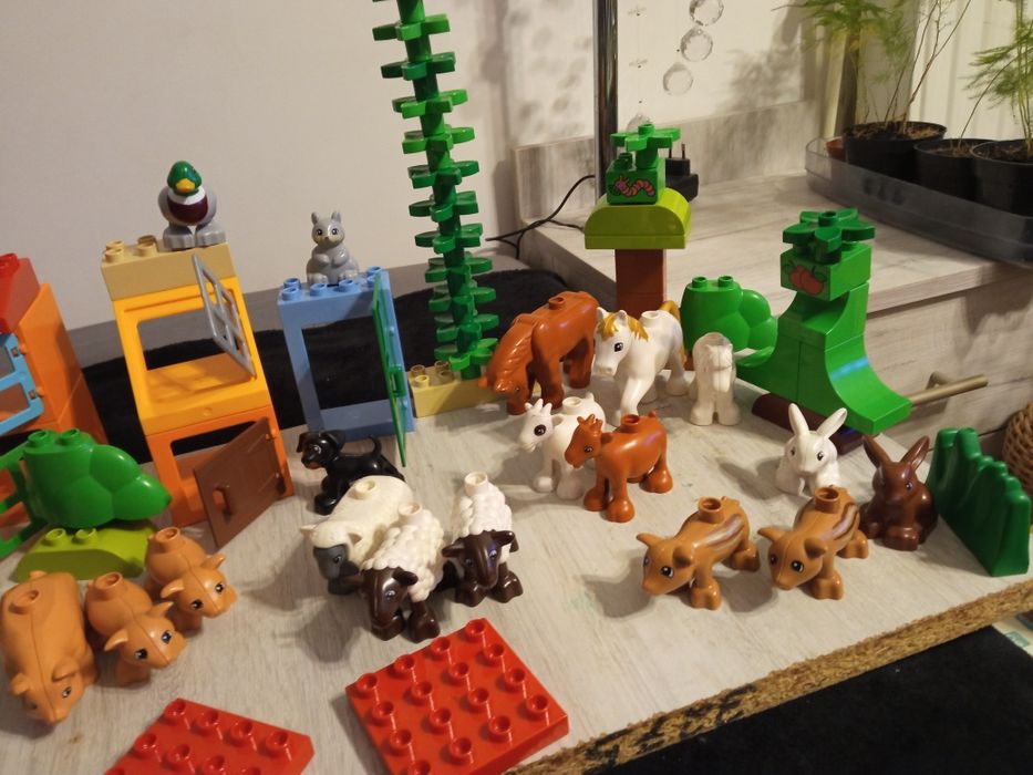 Lego Duplo zestaw XXL zwierzęta domowe 44 sztuki
